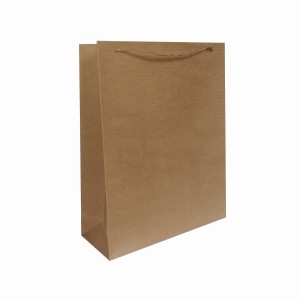 TORBA PAPIEROWA EKO (E8) - 21x7x26 cm - 10 szt