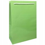 Torebka papierowa laminowana PISTACJOWA 17,5x6,5x26,5 cm